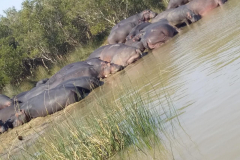 St.-Lucia-imangaliso-Wetland-World-Heritage-Site